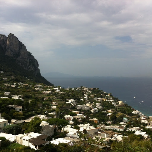 Charles Stone Photo 18