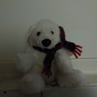 Michael Gehring Photo 8
