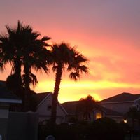 David Bermeo Photo 7