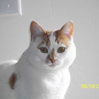 Mona Curtis Photo 2