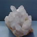 Crystal Wise Photo 48