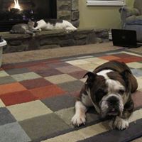 Kristi Daniels Photo 7
