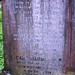 Martha Roper Photo 22