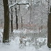 Robert Kempen Photo 17