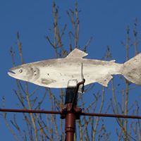 Leo Mccabe Photo 4