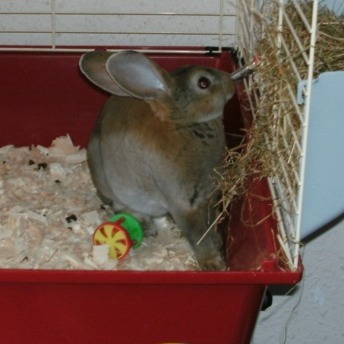 Debbie Burton Photo 16