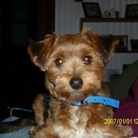 Virginia Richey Photo 3