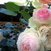 Rose Pierre Photo 41