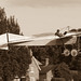 Richard Blackburn Photo 47