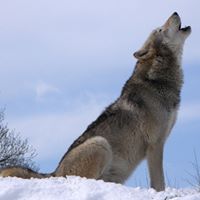 Daniel Combs Photo 6
