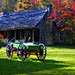 Patricia Orton Photo 30