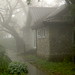 Shan Cao Photo 26