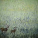 Wendy Woods Photo 40