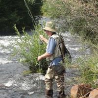 Michael Heyn Photo 2