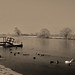 Dee Winter Photo 26