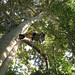 Ryan Samford Photo 16