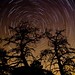 Richard Heinemann Photo 20