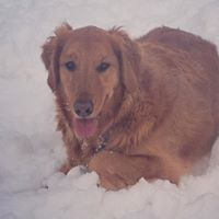 Cathy Lusk Photo 2