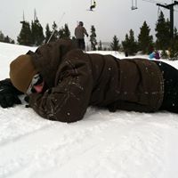 Bradley Nutt Photo 3