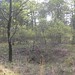 Perry Beck Photo 17