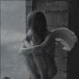Dee Casey Photo 18