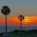 Timothy Rivera Photo 45