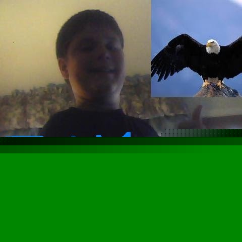 Jay Eagle Photo 9