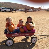 Rhonda Wolfe Photo 3