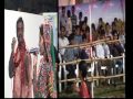 Hitesh Patel Photo 36