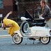 Brenda Lance Photo 32
