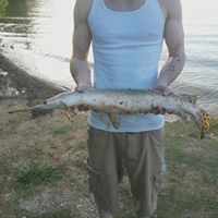 Gerald Gates Photo 4