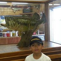 Augustine Gonzales Photo 6