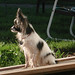 Kathy Weinstein Photo 20