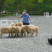 Mark Starkey Photo 31