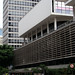 David Paulos Photo 13