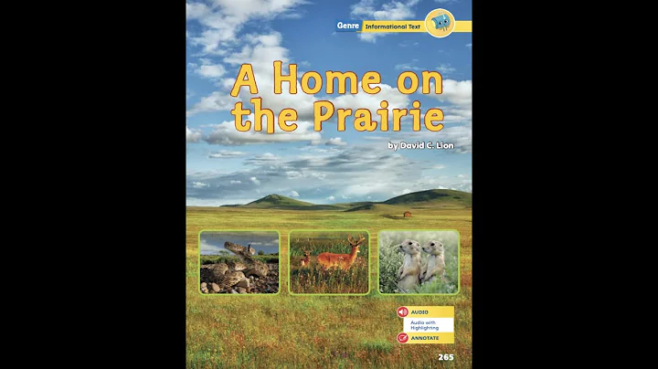 David Prairie Photo 17