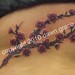 Grace Cherry Photo 30