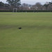 Christopher Fife Photo 20