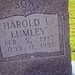 Harold Lyons Photo 39