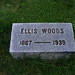 Ellis Wood Photo 32