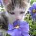 Pansy Foster Photo 17