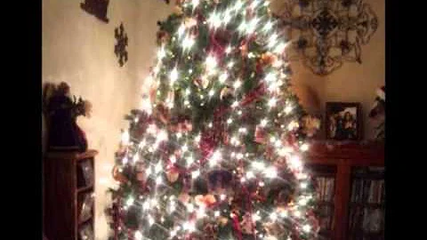 Deborah Heins Photo 14