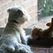Diane Chester Photo 29
