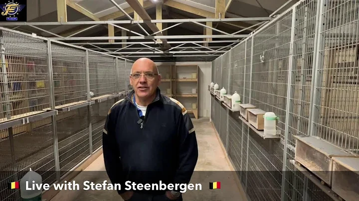Walter Steenbergen Photo 5