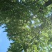 Chris Apgar Photo 23