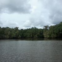 Laurie Mcdaniel Photo 1