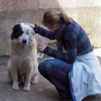 Christine Petri Photo 5
