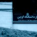 Mohammad Ganji Photo 28