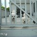 Sandra Wharton Photo 28