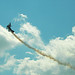 Carol Wing Photo 29